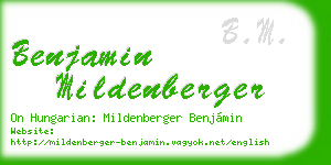 benjamin mildenberger business card